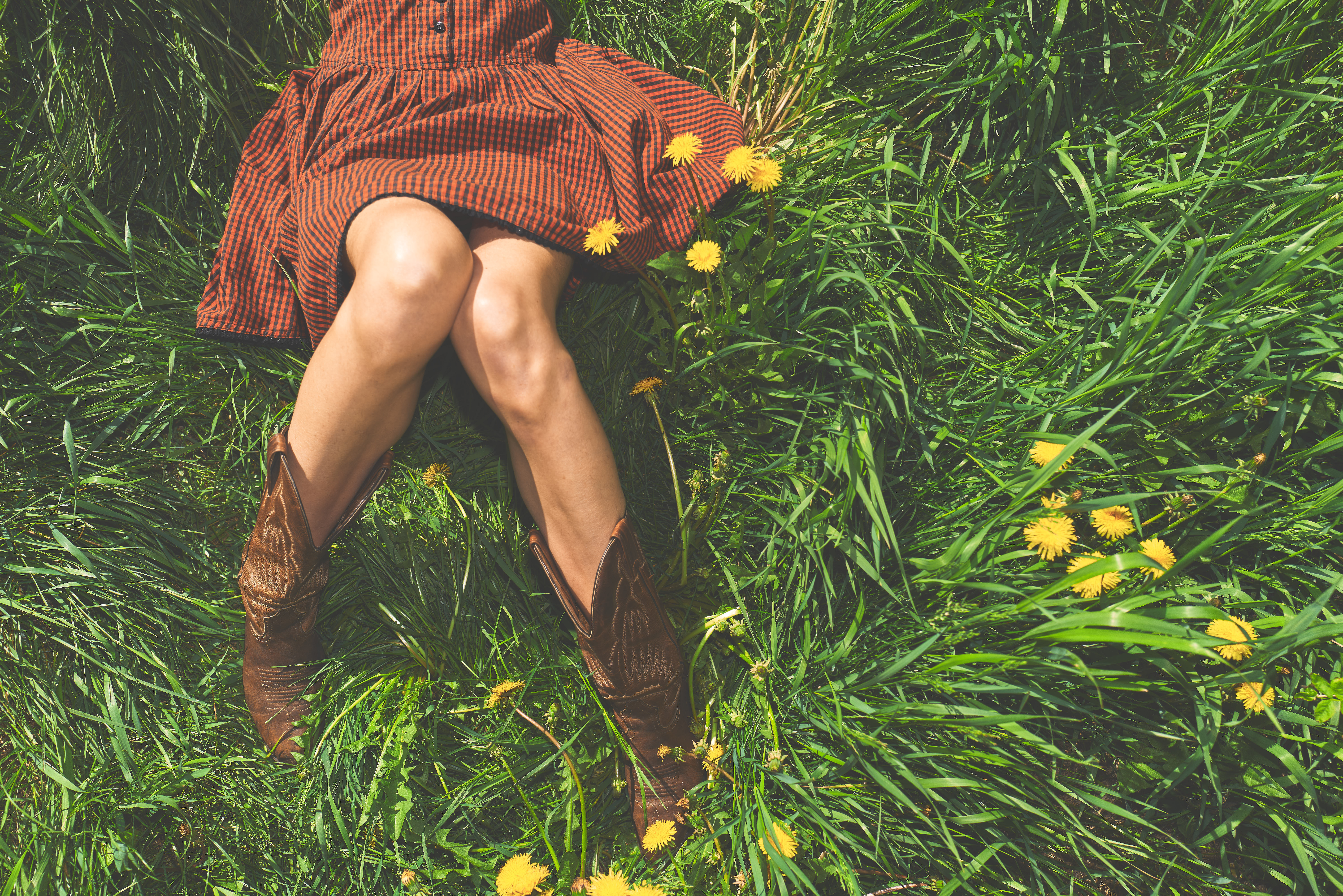 Cowboy boots and gingham dress in tall grass with dandelions